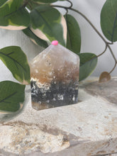 Load image into Gallery viewer, Pink Plume Agate x Moss Domino #48C
