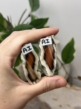 Load image into Gallery viewer, Carnelian Slice Pairs~ AI
