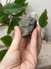 Load image into Gallery viewer, Carnelian Geode Pair~ H
