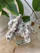 Load image into Gallery viewer, Crystallised Apophyllite~Tiny Peach Stillbite Petals~Pink/Red/Coral/Green Chalcedony Specimens #109
