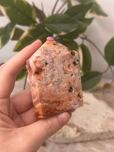 Load image into Gallery viewer, Pink Crazy Lace Agate Domino #42C
