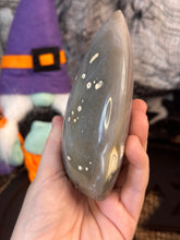 Load image into Gallery viewer, Orca Agate Freeform
