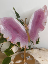 Load image into Gallery viewer, XL Pink Jelly Agate Butterfly Wings On Stand

