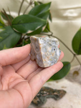 Load image into Gallery viewer, Ocean Jasper Half Polished Slice #11
