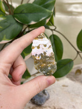 Load image into Gallery viewer, Ocean Jasper Half Polished Slices #6
