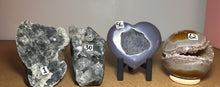 Load image into Gallery viewer, Cozy Critters Crystal Scoop ~ $199.99 OPTION
