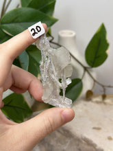 Load image into Gallery viewer, Fairy Forest Specimen 2D
