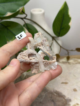Load image into Gallery viewer, Fairy Forest Specimen 1F
