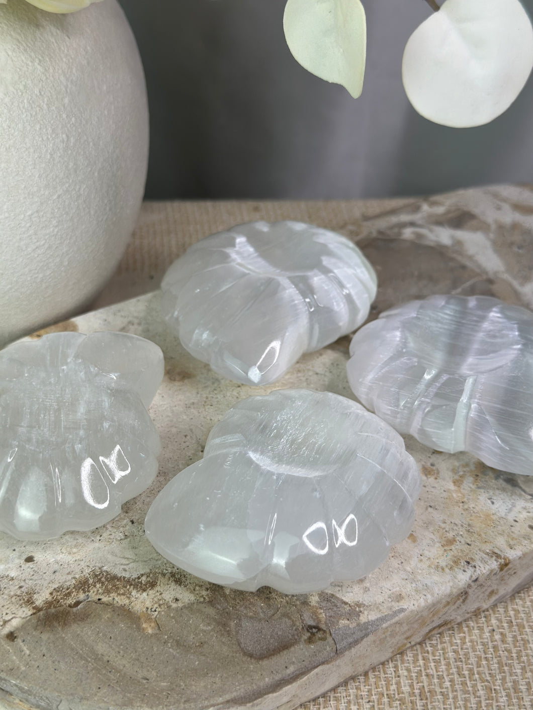 Selenite Sea Shells