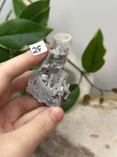 Load image into Gallery viewer, Fairy Forest Specimen 2F
