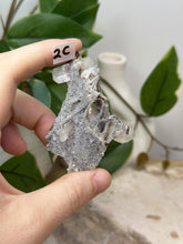 Load image into Gallery viewer, Fairy Forest Specimen 2C
