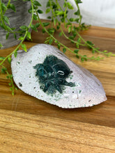 Load image into Gallery viewer, Sea Jasper Bug On Leaf #1
