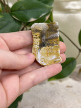Load image into Gallery viewer, Ocean Jasper Half Polished Slice #7
