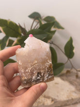 Load image into Gallery viewer, Pink Plume Agate x Moss Domino #46
