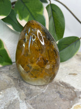Load image into Gallery viewer, Golden Healer Freeform #56
