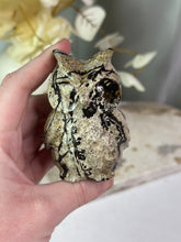 Load image into Gallery viewer, LRG Picture Jasper Owls
