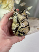 Load image into Gallery viewer, LRG Picture Jasper Owls
