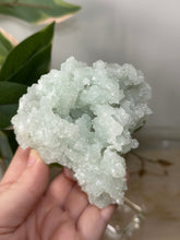 Load image into Gallery viewer, Crystal Green Apophyllite~Crystallised Sugary Prehnite Specimens #94
