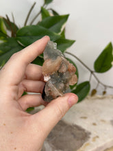 Load image into Gallery viewer, Blue Velvet Mini Cluster #36
