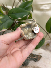 Load image into Gallery viewer, Ocean Jasper Half Polished Slice #11
