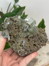 Load image into Gallery viewer, Army Green Apophyllite Cluster #119
