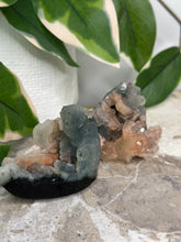Load image into Gallery viewer, Blue Velvet Mini Clusters #50
