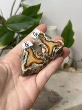 Load image into Gallery viewer, Carnelian Geode Pair~ G
