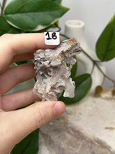 Load image into Gallery viewer, Fairy Forest Specimen 1B
