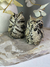 Load image into Gallery viewer, LRG Picture Jasper Owls
