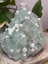 Load image into Gallery viewer, Glass Green Apophyllite + Snowballs #217

