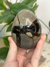 Load image into Gallery viewer, Septarian Dragon Druzy Egg
