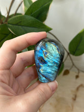 Load image into Gallery viewer, Labradorite Freeform #19
