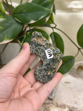 Load image into Gallery viewer, Ocean Jasper Half Polished Slice #11

