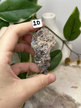Load image into Gallery viewer, Fairy Forest Specimen 1D
