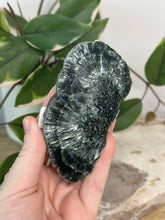 Load image into Gallery viewer, Seraphinite Slab #105
