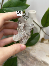 Load image into Gallery viewer, Fairy Forest Specimen 1B
