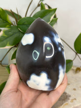 Load image into Gallery viewer, Orca Agate Freeform #78
