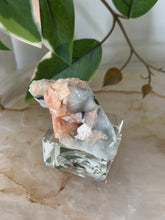 Load image into Gallery viewer, Sugary Peach Stillbite On Vibrant Blue Chalcedony Specimen #42
