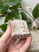 Load image into Gallery viewer, Pink Picture Jasper Domino Tower #39B
