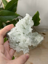 Load image into Gallery viewer, Crystal Green Apophyllite~Crystallised Sugary Prehnite Specimens #50
