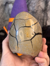 Load image into Gallery viewer, Dragon Druzy Freeform With Shards
