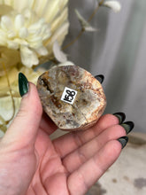 Load image into Gallery viewer, Petrified Wood Slab #15B
