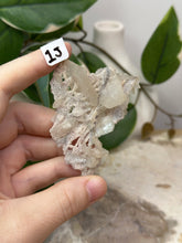 Load image into Gallery viewer, Fairy Forest Specimen 1J
