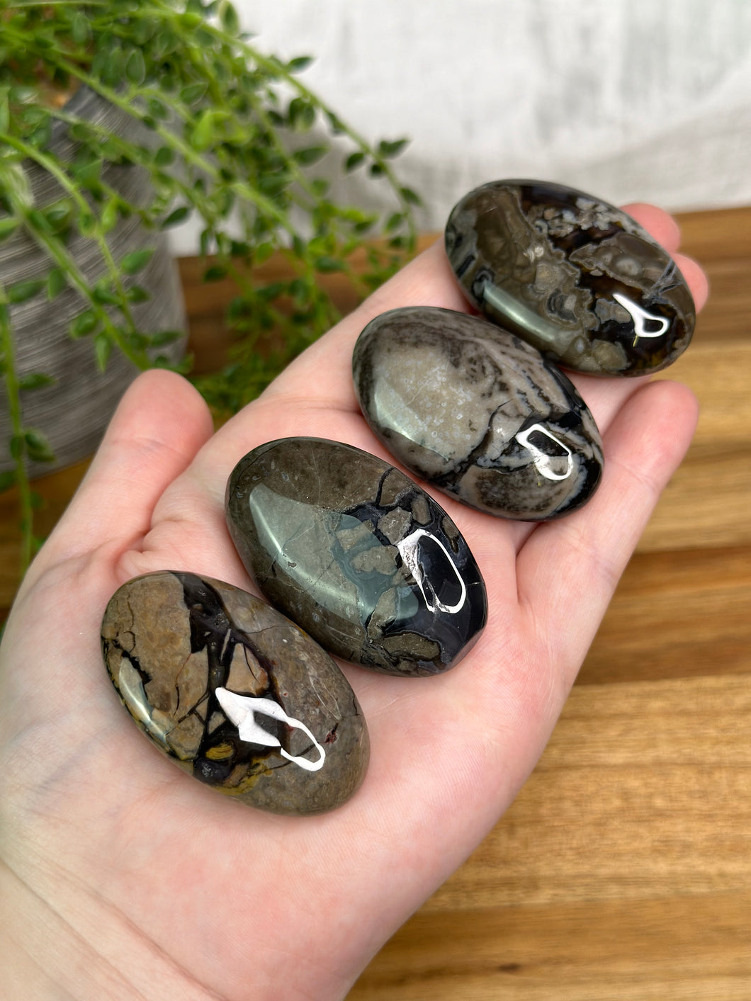 Volcanic Agate Palmstones