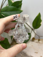 Load image into Gallery viewer, Fairy Forest Specimen 2C
