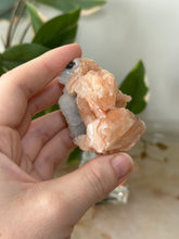 Load image into Gallery viewer, Sugary Peach Stillbite On Vibrant Blue Chalcedony Specimen #49

