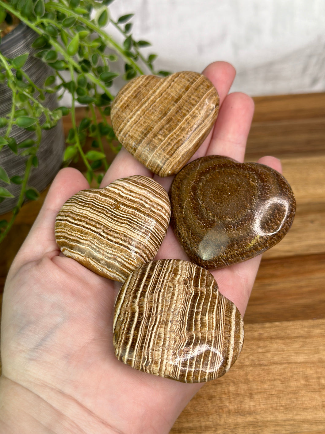 Brown Aragonite Hearts