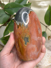 Load image into Gallery viewer, Imperfect Polychrome Jasper Freeform #131
