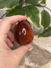 Load image into Gallery viewer, Carnelian x Moss Egg

