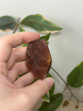Load image into Gallery viewer, Copper Rutile Freeform #22
